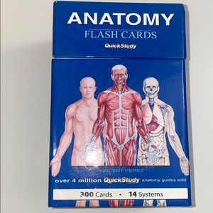 Anatomy flash cards